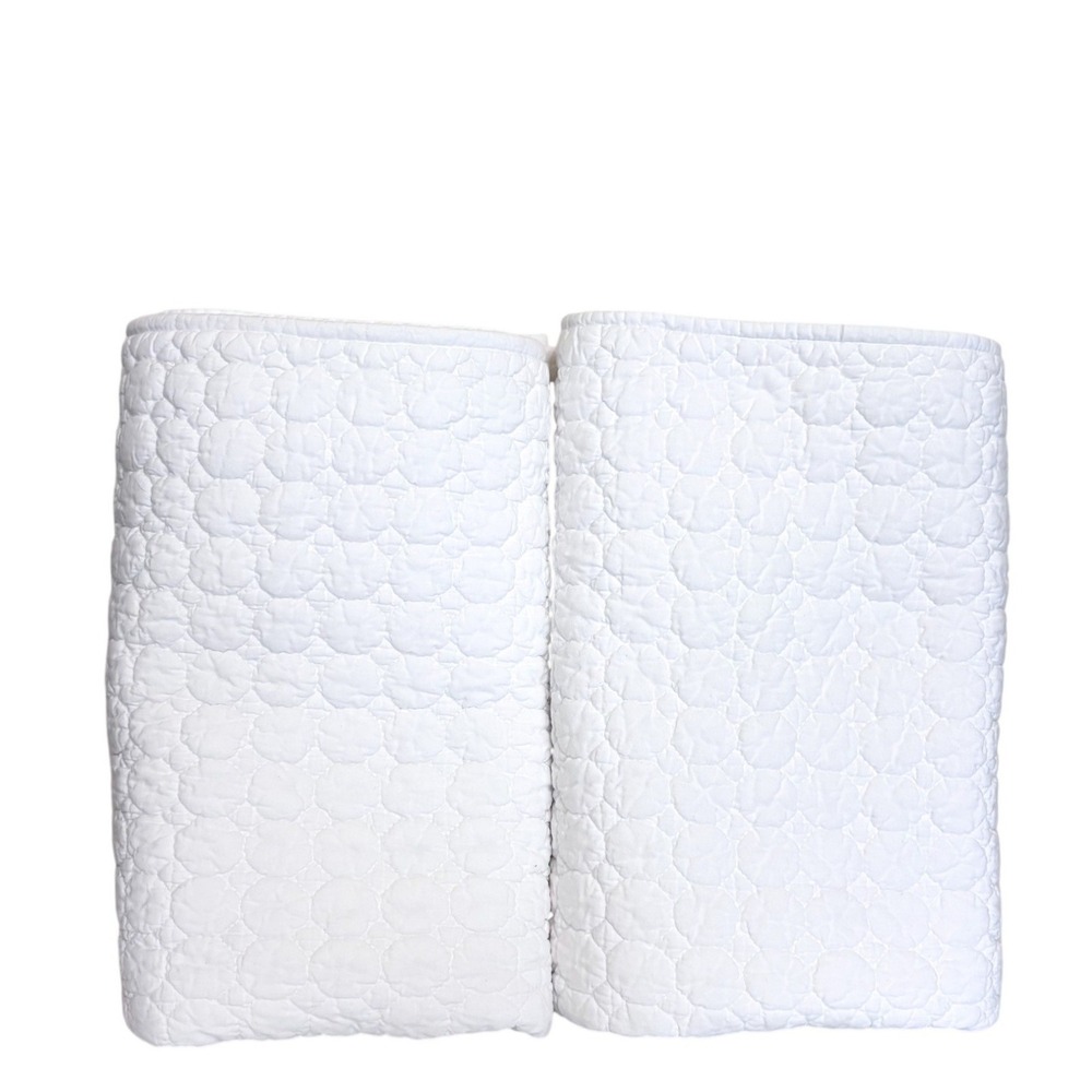 Crate & Barrel Fiona Quilted Cotton‎ Euro Shams 26x26 White Classic Textured